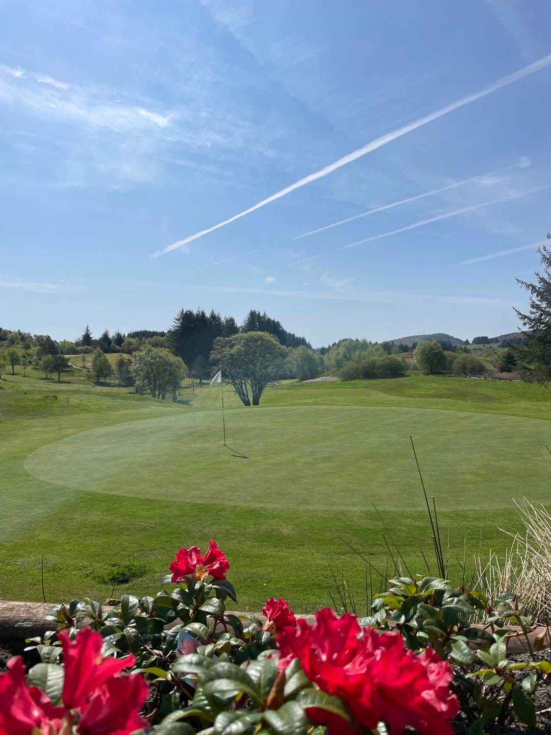 Golfbanen på Kolnes i sommersol, med green og blomstrende rhododendron